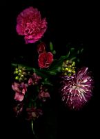02_Carnations_and_Ivy