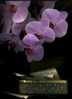 51_Orchid1